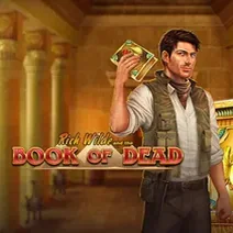 Book of Dead slot